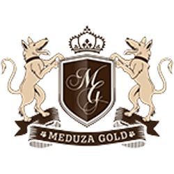 Meduza Logo